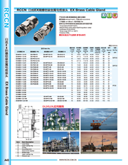 RCCN Flameproof armored metal cable connector EX