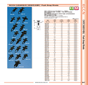 RCCN Closed-end rotating nylon rivets SR